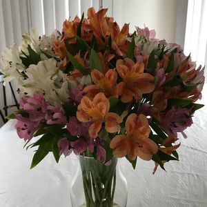 Meet your Posher, Andrea